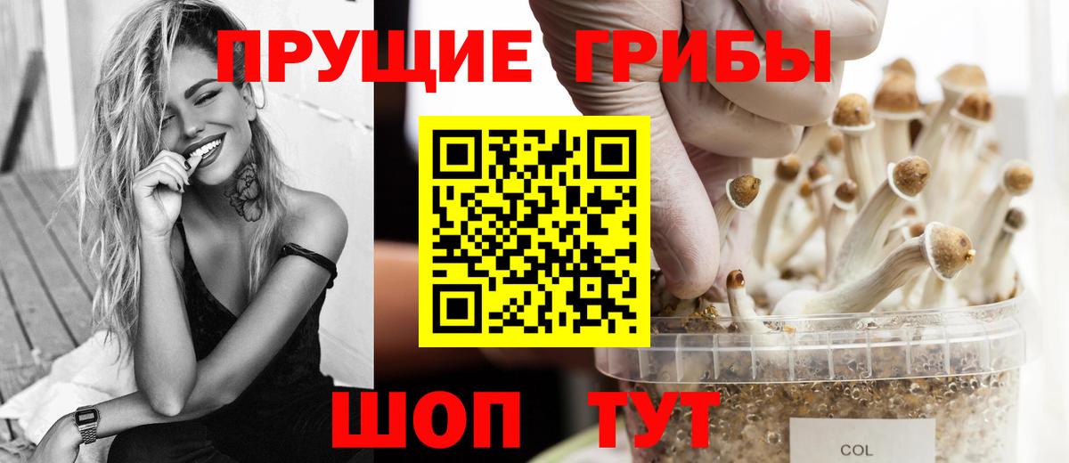 Галлюциногенные грибы Magic Shrooms  Вход с VPN  Зеленодольск 